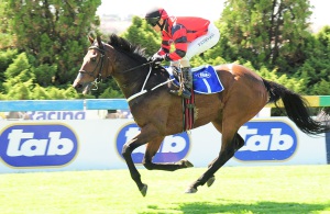 Easy. Piere Strydom gears Seal down at the line to win the Hennenman Memorial Pinnacle Stakes
