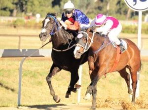 Close! The Mouseketeer (pink/white silks) stays on best to beat Taptap Makhatini