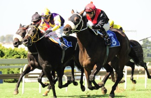 Courage! Fransie Herholdt drives Tuscan Lass up in the red and black silks to win the Listed Oaks Trial