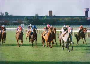 Sweet Secret - 1993 Gr2 Woolavington Handicap