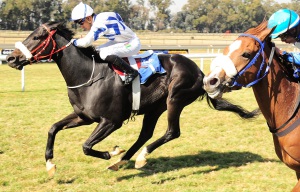 In Focus! Snowdon (Nooresh Juglal) hangs on well to beat a flying Desert Sheik (in pic)