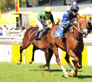 Magical! Wilow Magic (Piere Strydom) storms home. That's Red Ray in the background 