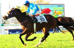 Home! Wylie (MJ Odendaal) storms clear to win the SA Derby
