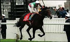 1993 Epsom Derby - COMMANDER IN CHIEF - finish