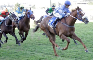Fast! Desert Sheik (Anthony Delpech) streaks clear to win the Var Durban Dash at Clairwood