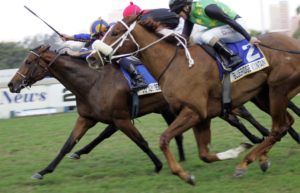Unforgettable! Do You Remember gets her head in front to win the Gr1 Woolavington 2000