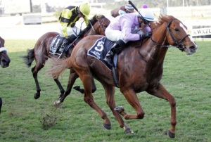 Champagne! Gitiano powers home underStuart Randolph