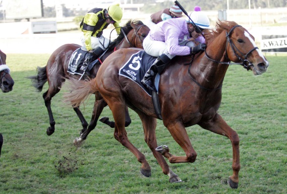 Gitiano wins 2013 KZN Breeders Million Mile