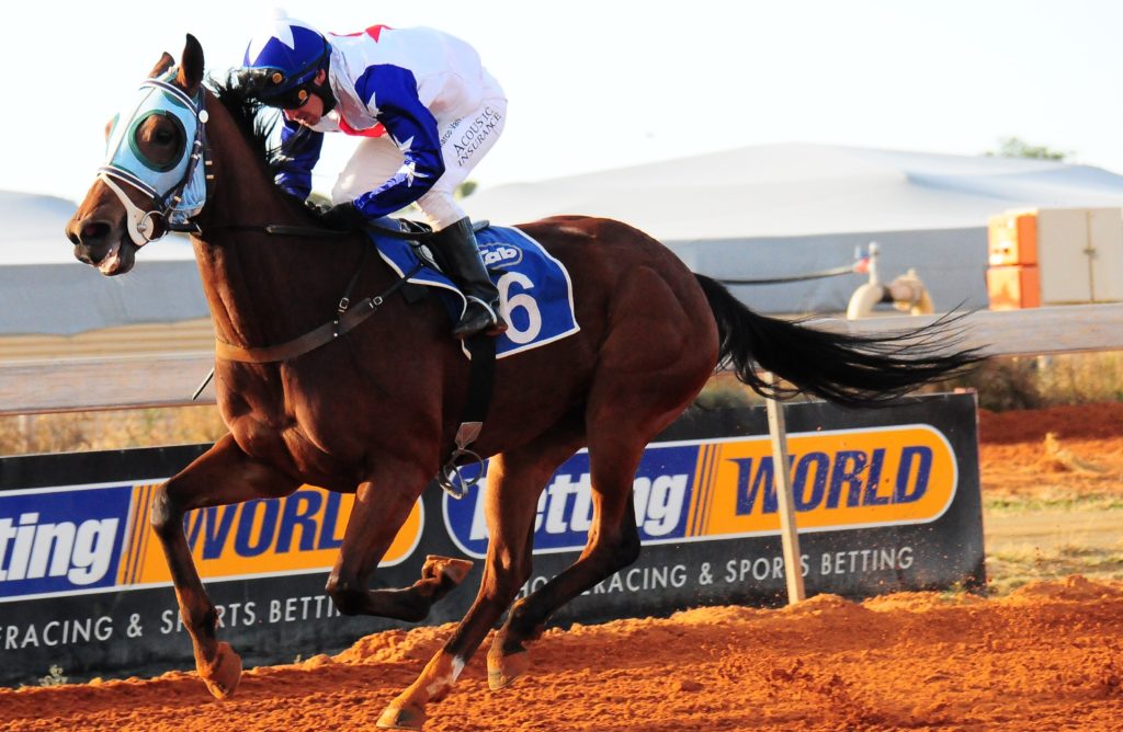 Royal Performance! Kingofmountain gallops clear under Marco Van Rensburg to win the Kimberley Classic