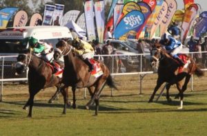 Just OK! Ginepri (gold and black silks) powers clear under Francois Herholdt to win the Grand Challenge