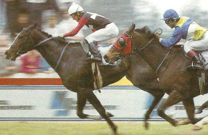 1990 Gr1Gold Cup - Illustrador