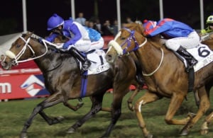 Bargain! Ace Antonius wins the KZN Yearling Sale million under MJ Byleveld