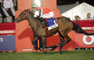 The Dynasty champion Beach Beauty was bred by the late Trevor Armitage