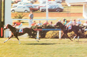 Beau Art winning the 1978 Champion Stakes at Turffontein