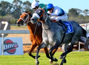 Gallant Grey. Stormy Coast (Stuart Randolph) gets the better of Daffodil Day to win the East Cape Paddock Stakes (Coastal Photos)
