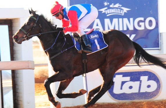 Easy! Hawksworth wins the Kimberley Nursery in facile fashion (JC Photos)