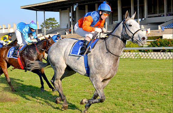 True Pleasure. The game and consistent Hurricane Katrina could notch up a feature double when contesting Friday's Listed East Cape Paddock Stakes