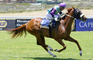 Consistent. The Fort Wood filly Dumani is always in the action and could challenge on best form