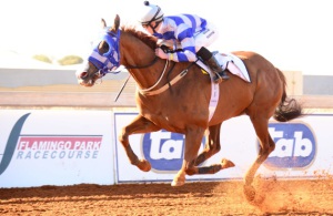 Runaway Train! Uncle Tommy (Wes Marwing) is well clear of his opposition to win the RA Flamingo Park Mile