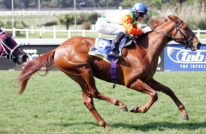 Another For Jay Peg! Jay's Man runs out a smooth debut winner under Sean Cormack