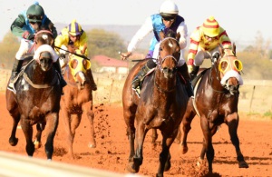 Four In A Row! Mr Vindaloo (Julius Mariba) wins the Betting World Sprint (JC Photos)