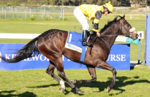 Royalty! Andrew Fortune poses as Princess Victoria wins the Champagne Stakes in style