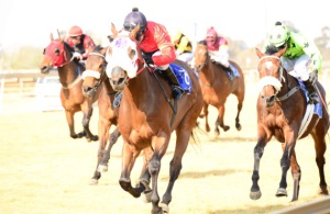 All The Way! Rambo stays on under Marco Van Rensburg to beat Matthew Ethan (Green/ Black stars) JC Photos