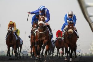 Soft Falling Rain wins the Godolphin Mile in 2013