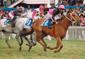 1993 Gr1 OK Gold Bowl - Golden Plate