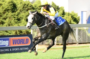 Grey Away! Marthinus Mienie steers Balse clear to win the Pinnacle Stakes at Turffontein (JC Photos)