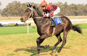 Striking! Piere Strydom drives Flag Of France up to win well (JC Photos)