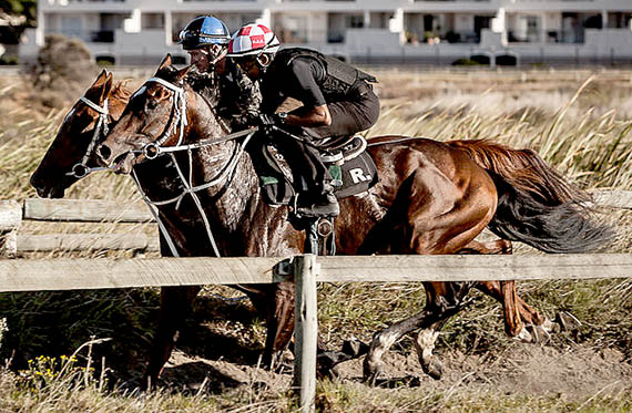 Milnerton training track