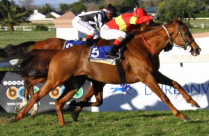 Very Smart! Grant Van Niekerk drives Posh Boy out to win the Settlers Trophy (Equine Edge)