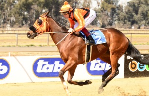 Sand Star. Pylon (Gavin Lerena) cruises in a perfect Emerald Cup prep (JC Photos)