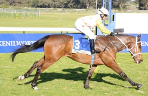 Power Play! Strongman (Karl Neisius) wins the Listed Sophomore Sprint in easy fashion (Equine Edge)