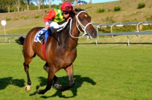 Bang Bang! Two Gun Kid gallops strongly under JP van Der Merwe to win the Founders Trophy (Coastal Photos)