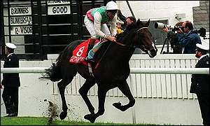1993 Epsom Derby - Commander In Chief
