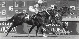 1993 Fillies Guineas - Hispanola