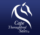 Cape Thoroughbred Sales