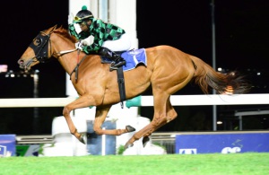 Classic Ride! S'manga Khumalo steers Classic Illusion to a good win in the Gr3 Yellowwood Handicap (JC Photos)