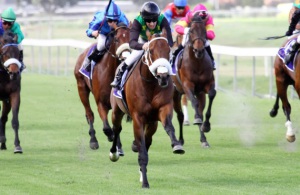 Rampant! Red Ray (Anton Marcus) charges clear to win the Gr3 Cape Classic (Pic : Equine Edge)