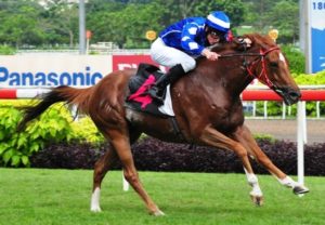 Packing It! Royal Brat streaks clear to give BernardFayd'herbe his first winner in Singapore (Singapore Turf Club)
