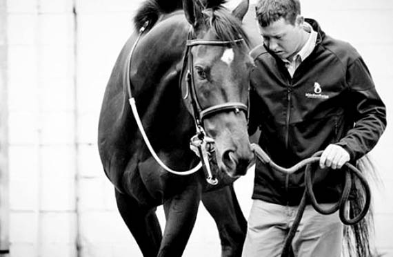 Pocket Power and Robert Fayd’herbe