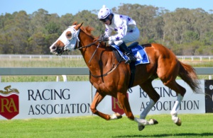 Chestnut Chaser. Glen Hatts steers Briar King to a smooth win at Fairview (Coastal Photos)