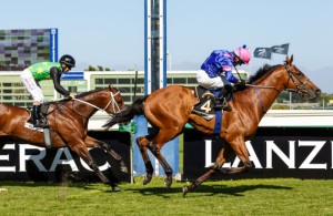 Superhero! Captain America and Glen Hatt burst clear to beat Red Ray in a thriller.(Hamish Niven Photography)