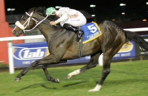 Diamond Studded. Brandon Lerena drives Diamond King out to win the Guineas Trial