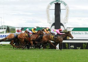 Forgive No Forget wins on debut at Hawke's Bay