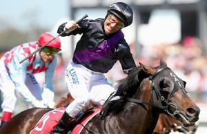 Fiorente_Melbourne Cup-7