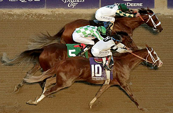 Mucho Macho Man