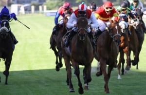 Top Class! Paddy O' Reilly powers home to win the Listed Kenilworth Cup (Equine Edge)